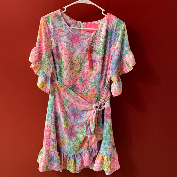 Lilly Pulitzer Dresses & Skirts - NWT Lily Pulitzer Darla Stretch Dress Multi Paradise Found